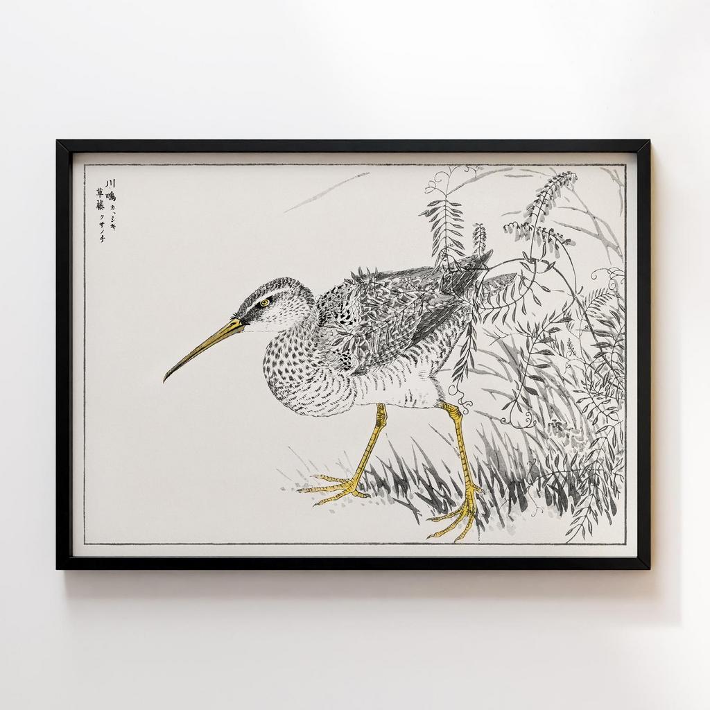 Постер Eastern Whimbrel and Wisteria Vine illustration by Numata Kashu