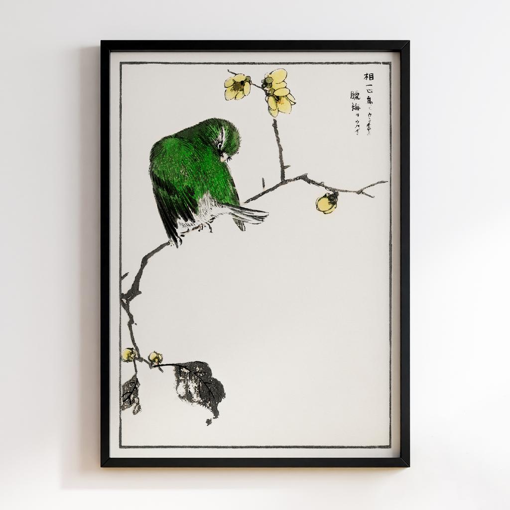 Постер Fairy Pitta and Japanese Allspice illustration by Numata Kashu