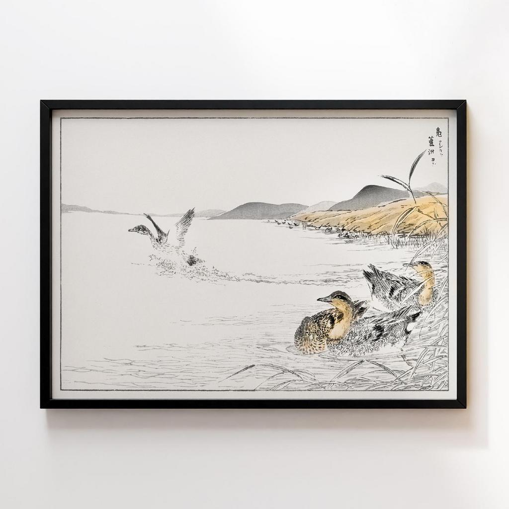 Постер Falcated Teal and Reed illustration by Numata Kashu