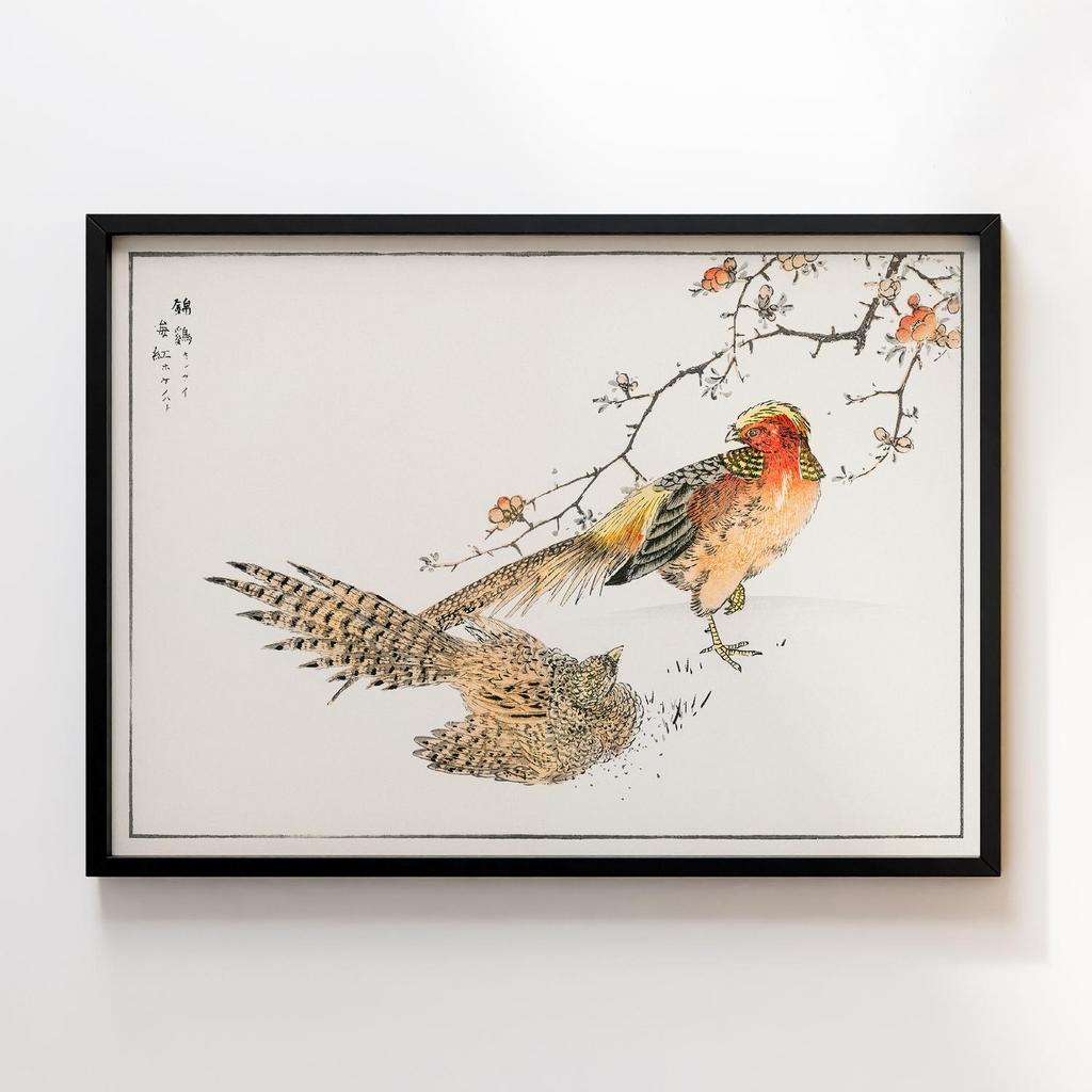 Постер Golden Pheasant and Flower of Japanese Quince illustration by Numata Kashu