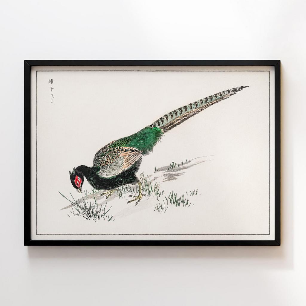 Постер Green Pheasant illustration by Numata Kashu
