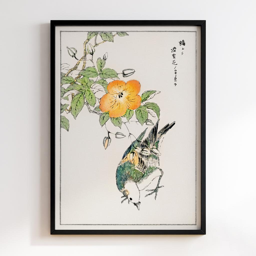 Постер Grey Starling and Cercidiphyllum Japonicum illustration by Numata Kashu