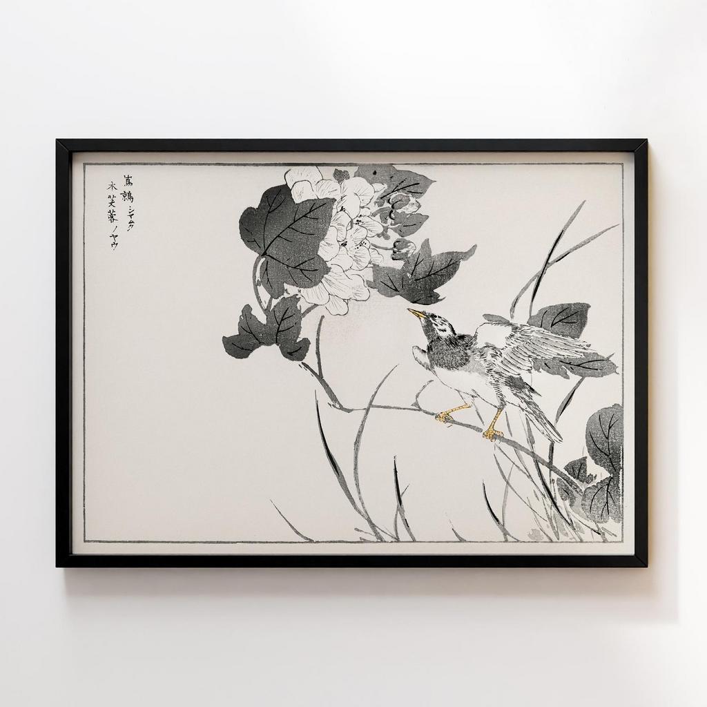 Постер Grey Starling and Lotus illustration by Numata Kashu