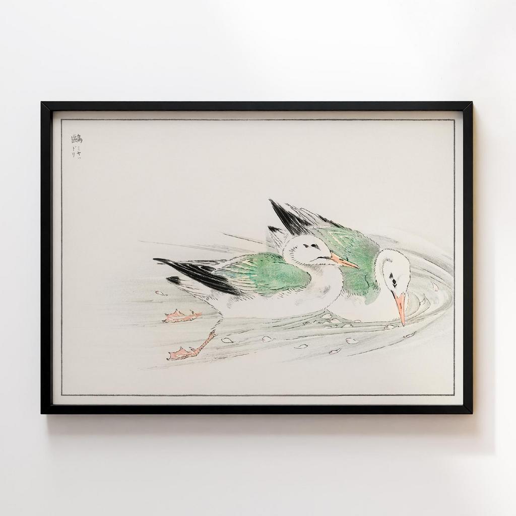 Постер Gull illustration by Numata Kashu