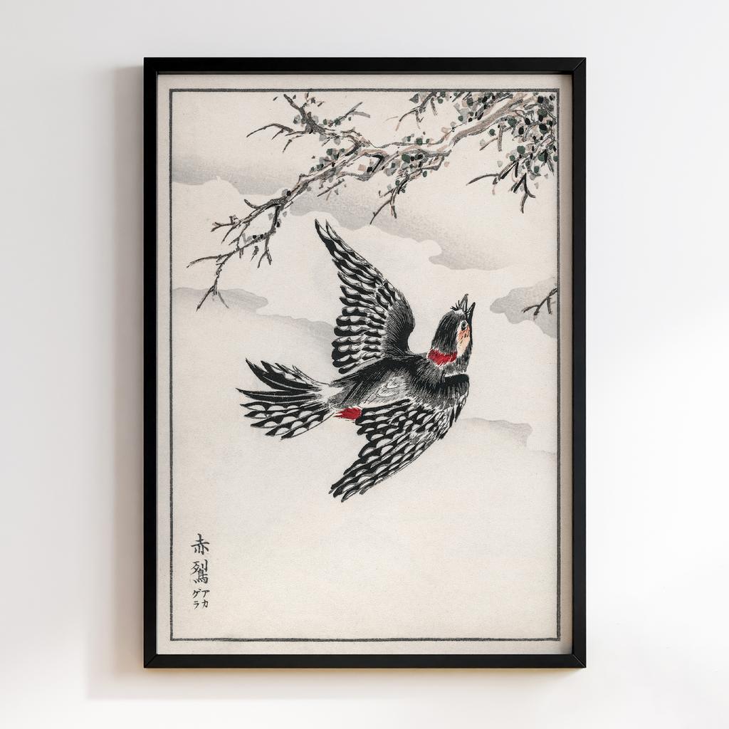 Постер Hondo Great Spotted Woodpecker illustration by Numata Kashu