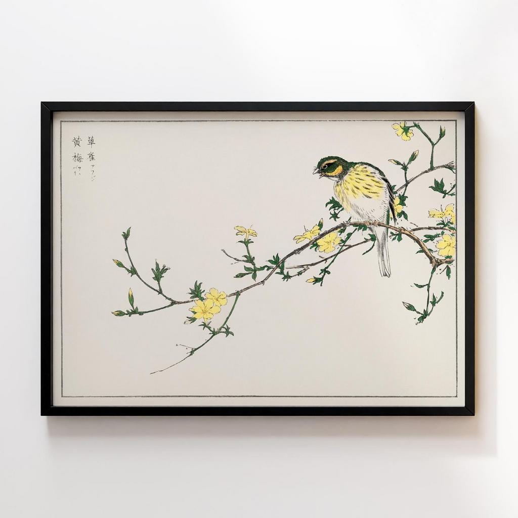 Постер Japanese Bunting and Plum Tree illustration by Numata Kashu