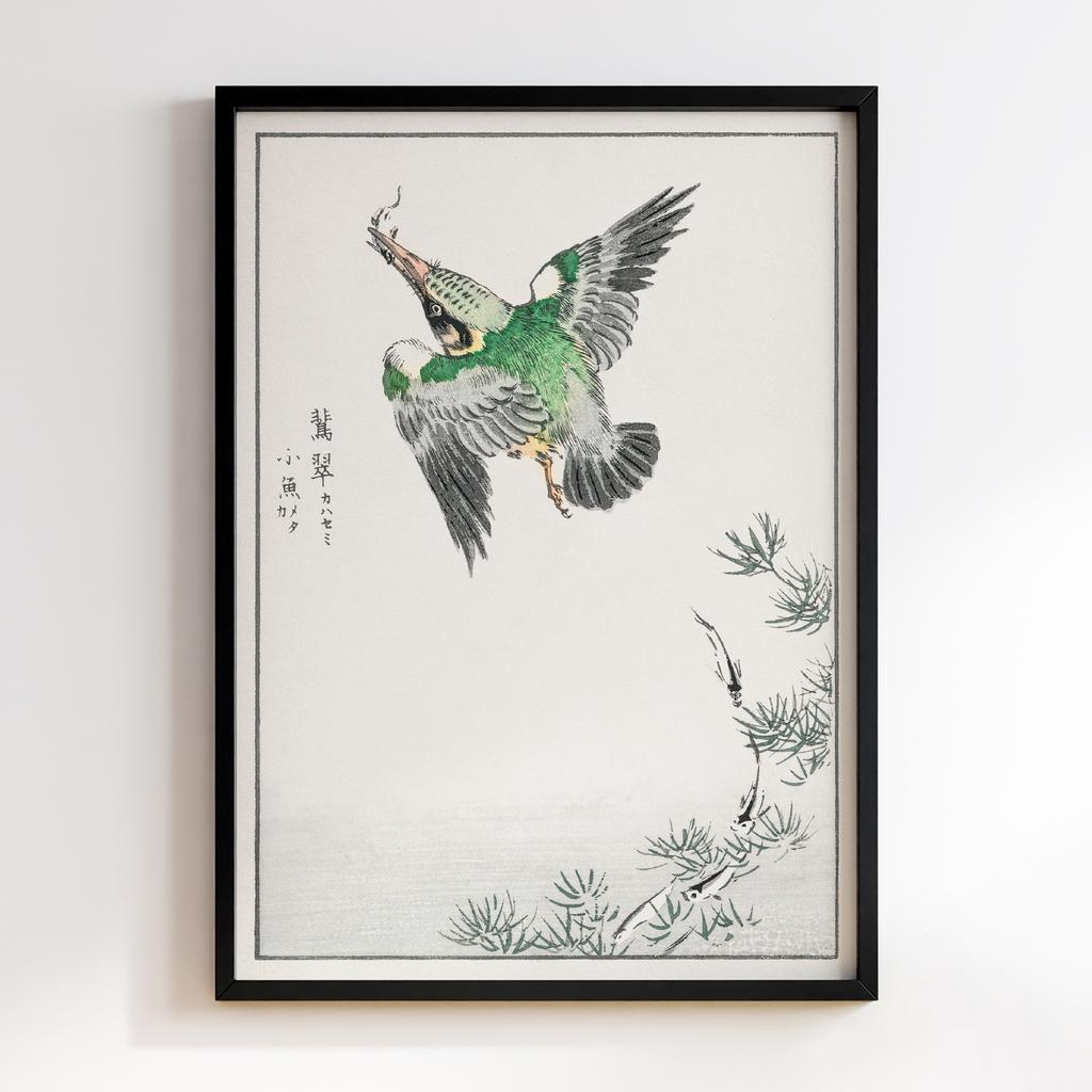 Постер Japanese Common Kingfisher illustration by Numata Kashu