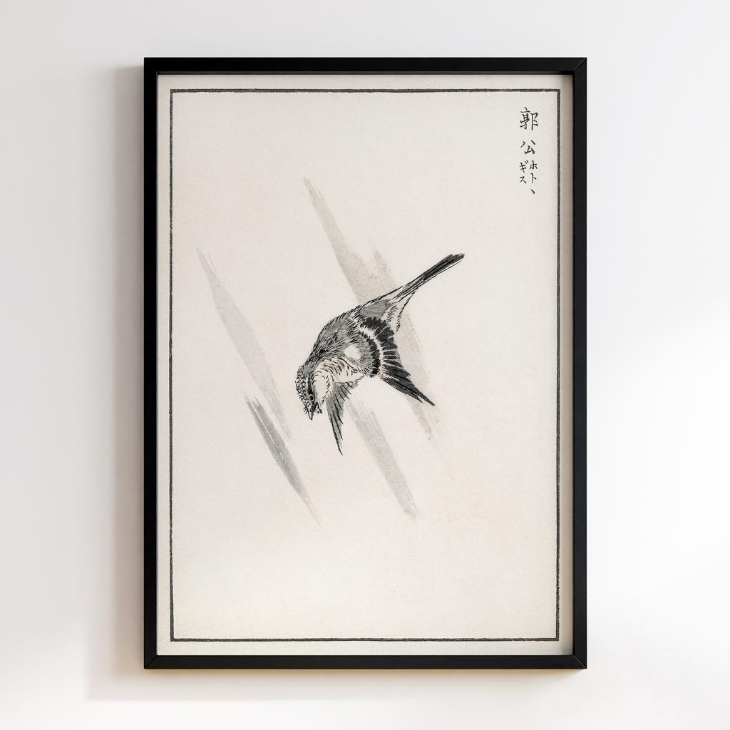 Постер Japanese Cuckoo illustration by Numata Kashu