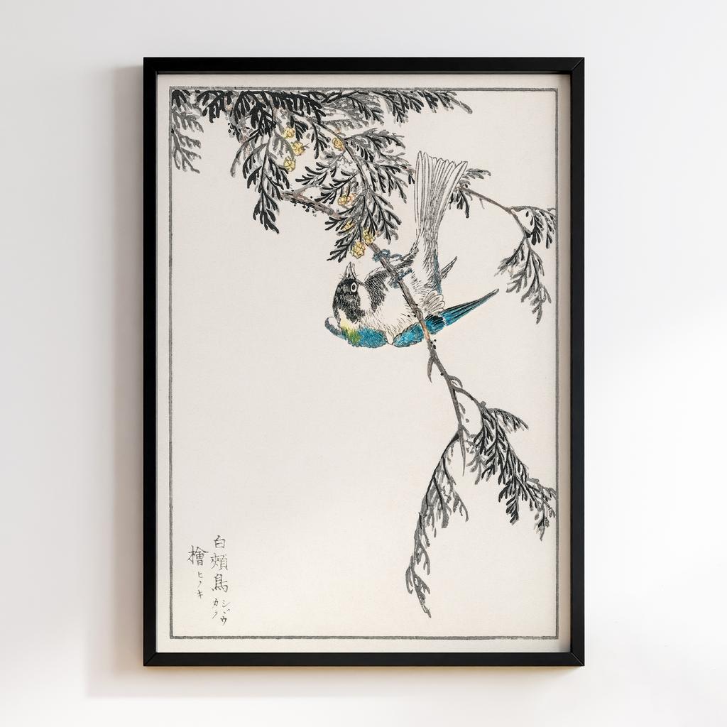 Постер Japanese Great Tit and Japanese Cypress illustration by Numata Kashu