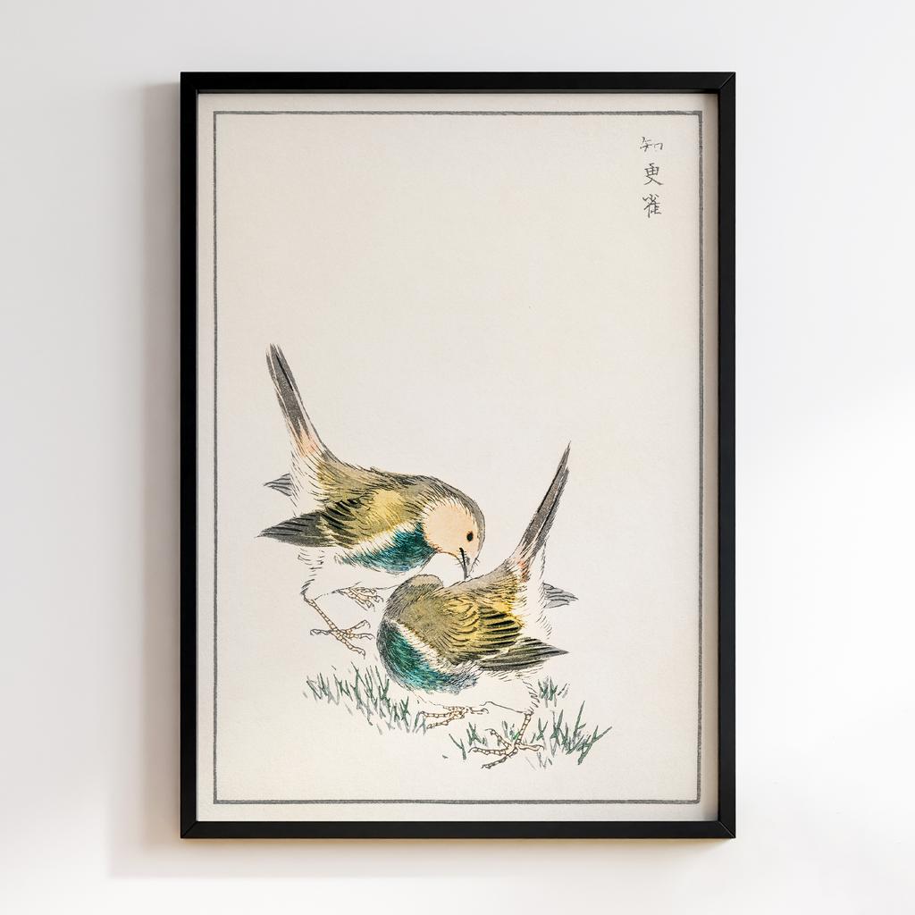 Постер Japanese Great Tit illustration by Numata Kashu