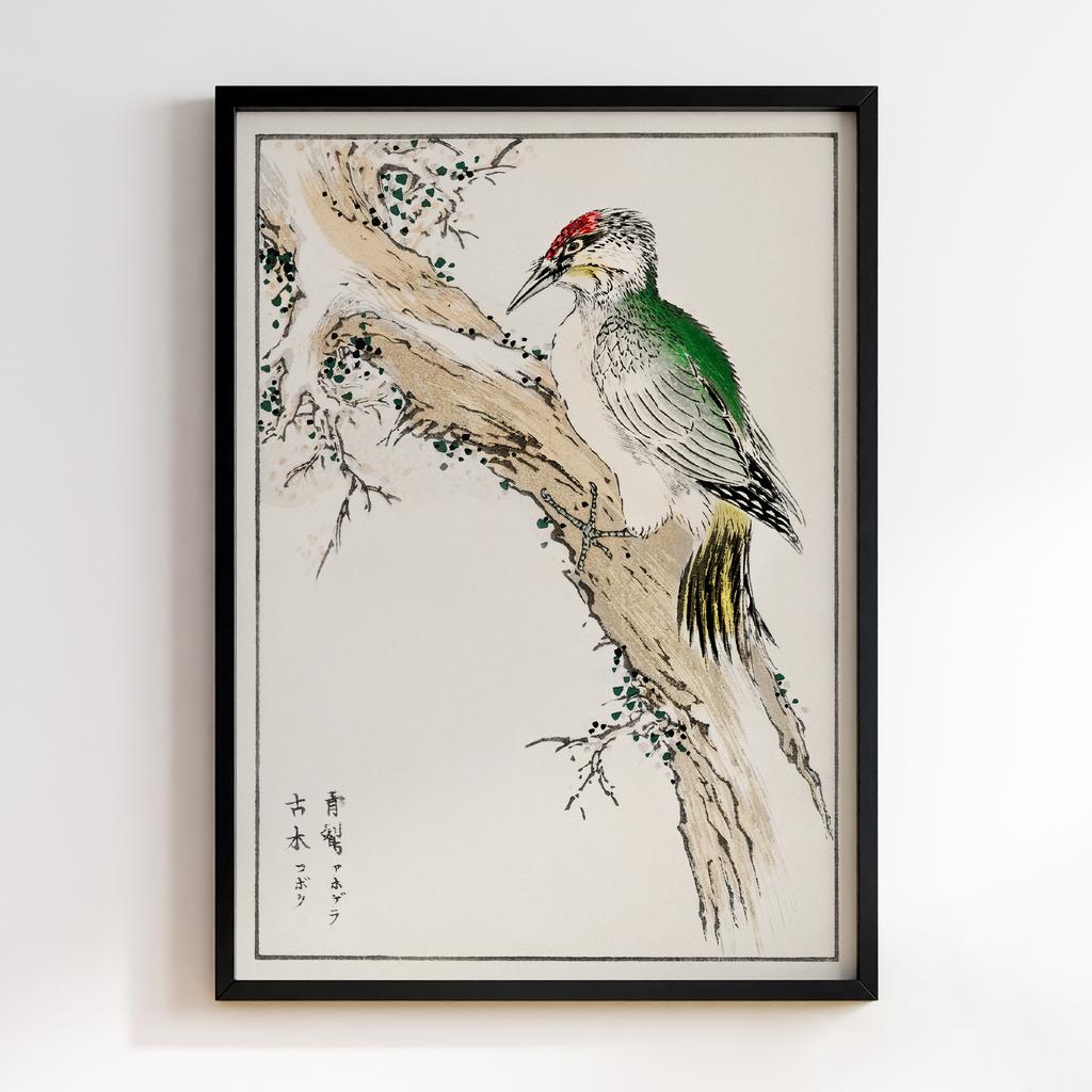 Постер Japanese Green Woodpecker illustration by Numata Kashu