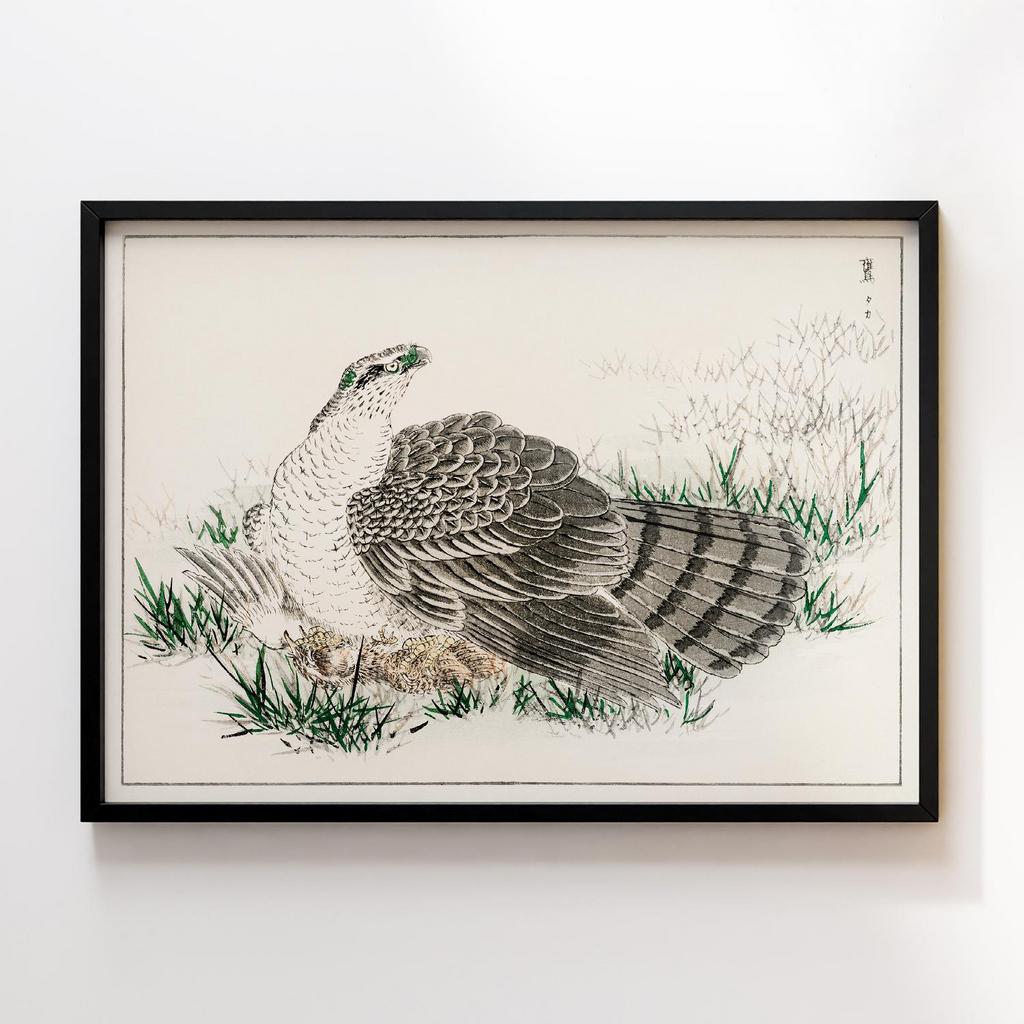 Постер Japanese Hawk-Eagle illustration by Numata Kashu