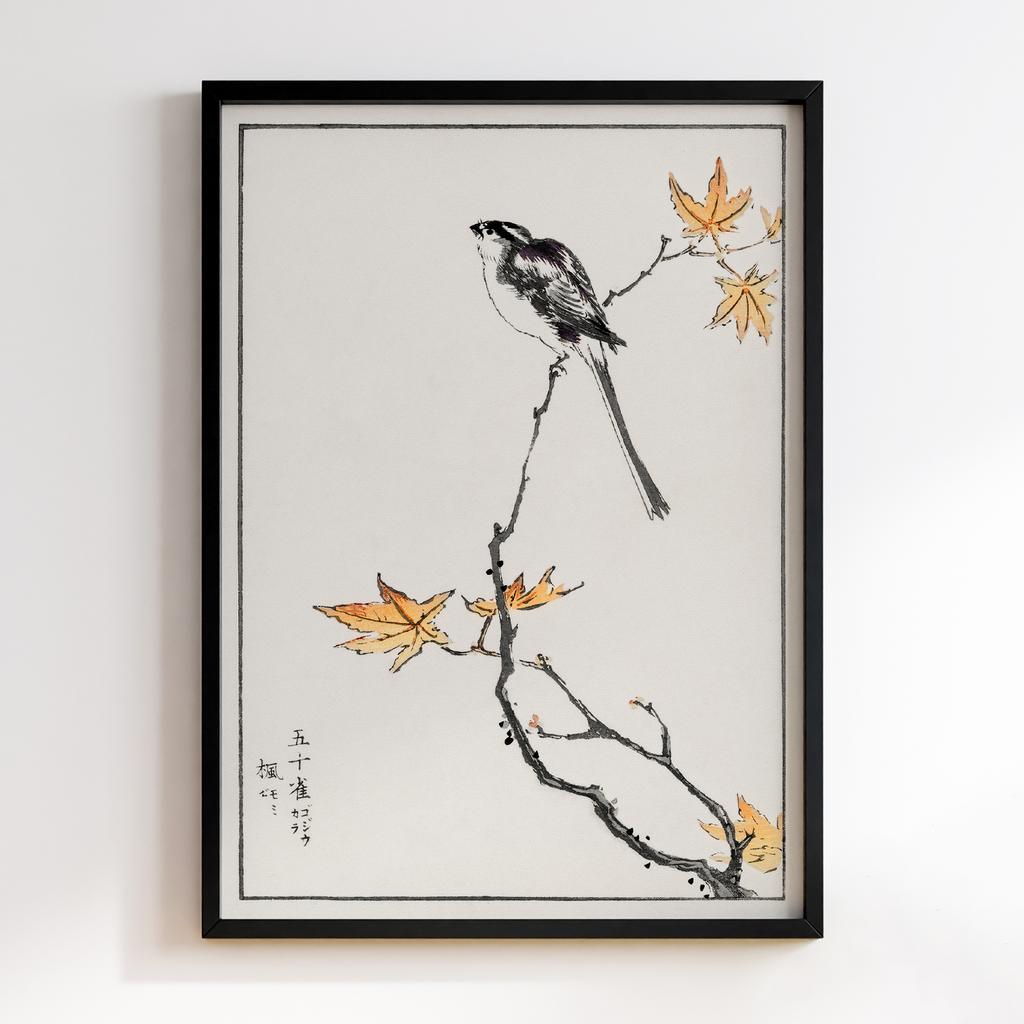 Постер Japanese Long-tailed Tit and Maple Tree illustration by Numata Kashu
