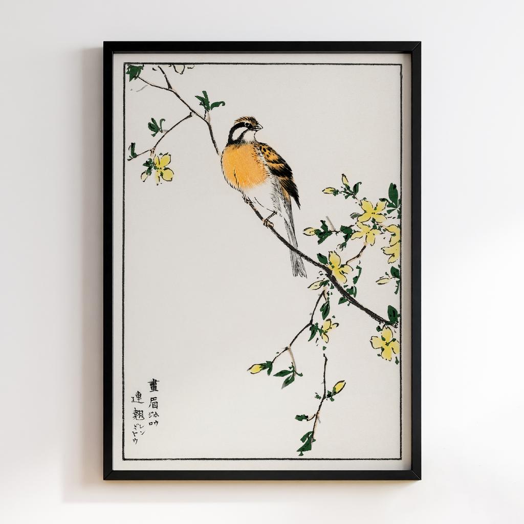 Постер Japanese Meadow Bunting and Golden Ball illustration by Numata Kashu