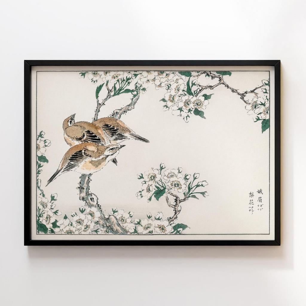Постер Japanese Meadow Bunting and Pear Flower illustration by Numata Kashu