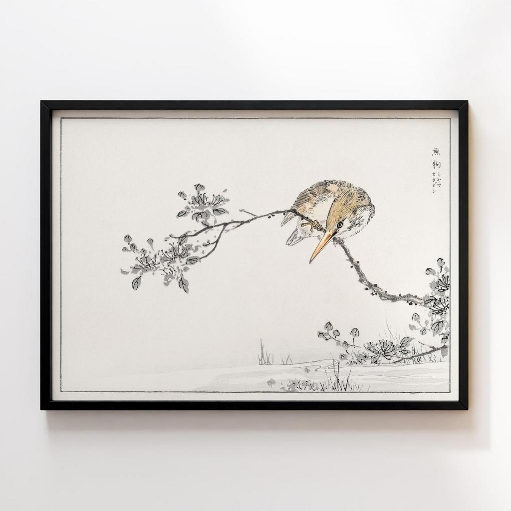 Постер Japanese Pied Kingfisher illustration by Numata Kashu