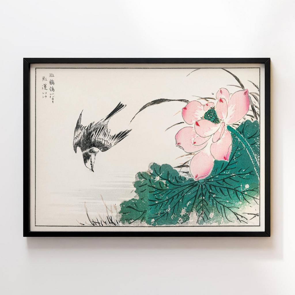 Постер Japanese Pied Wagtail and Red Lotus illustration by Numata Kashu