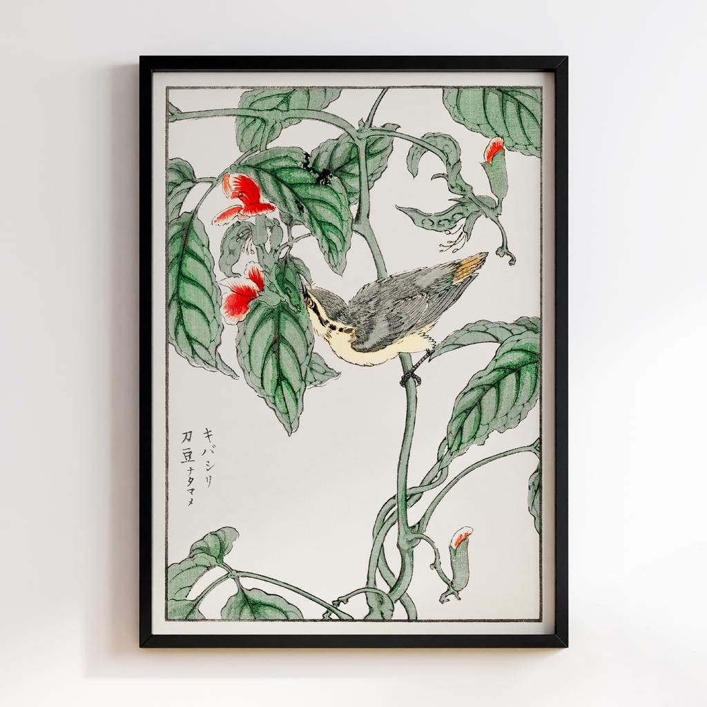 Постер Japanese Tree-creeper and Pea illustration (1885) by Numata Kashu