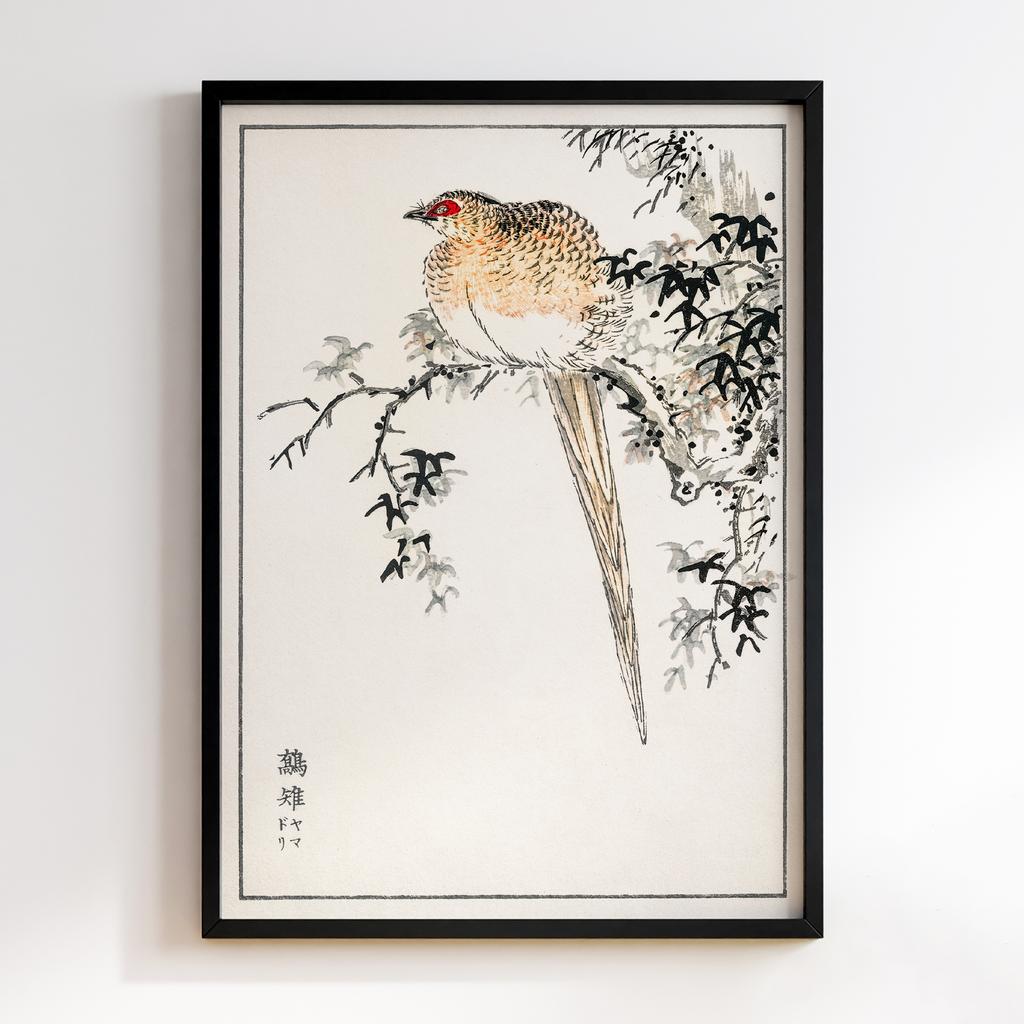 Постер Japanese Water-Pipit and Viola illustration by Numata Kashu