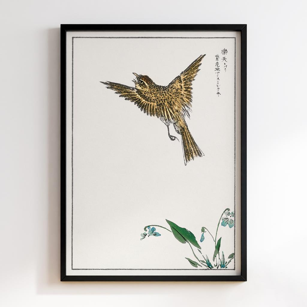Постер Japanese Water-Pipit and Viola illustration by Numata Kashu