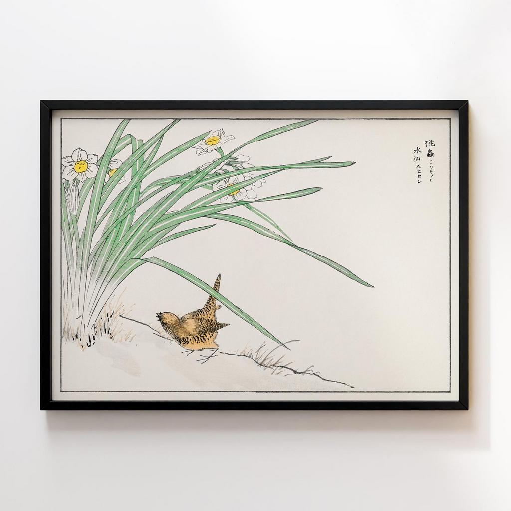 Постер Japanese Wren and Daffodil illustration by Numata Kashu