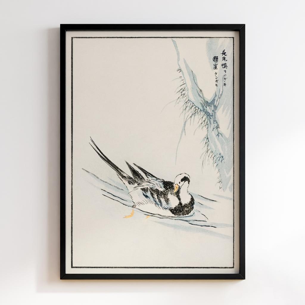 Постер Long-tailed Wild Duck and Cliff illustration by Numata Kashu