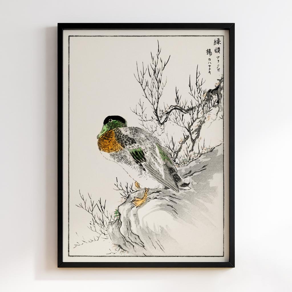 Постер Pictorial Monograph of Birds (1885) by Numata Kashu