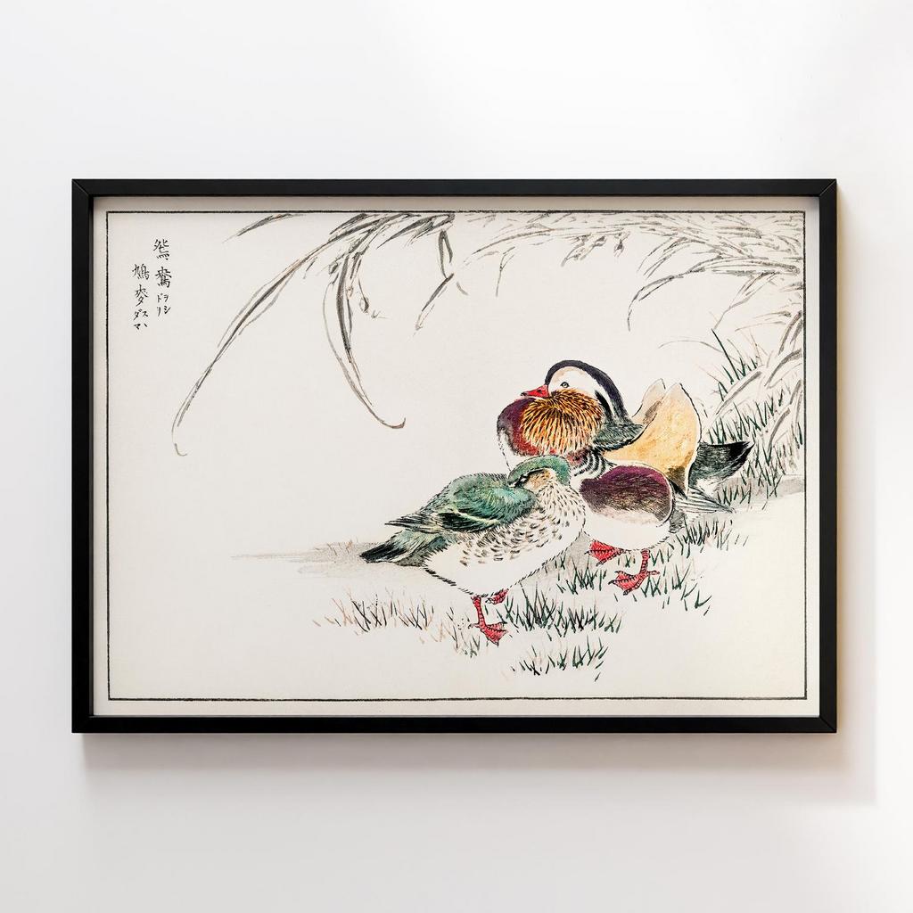 Постер Mandarin Duck and Pearl Barley illustration by Numata Kashu