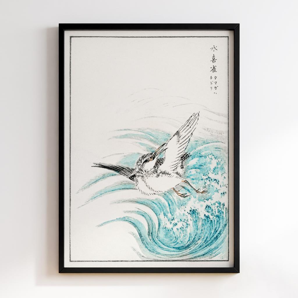 Постер Mongolian Plover illustration by Numata Kashu