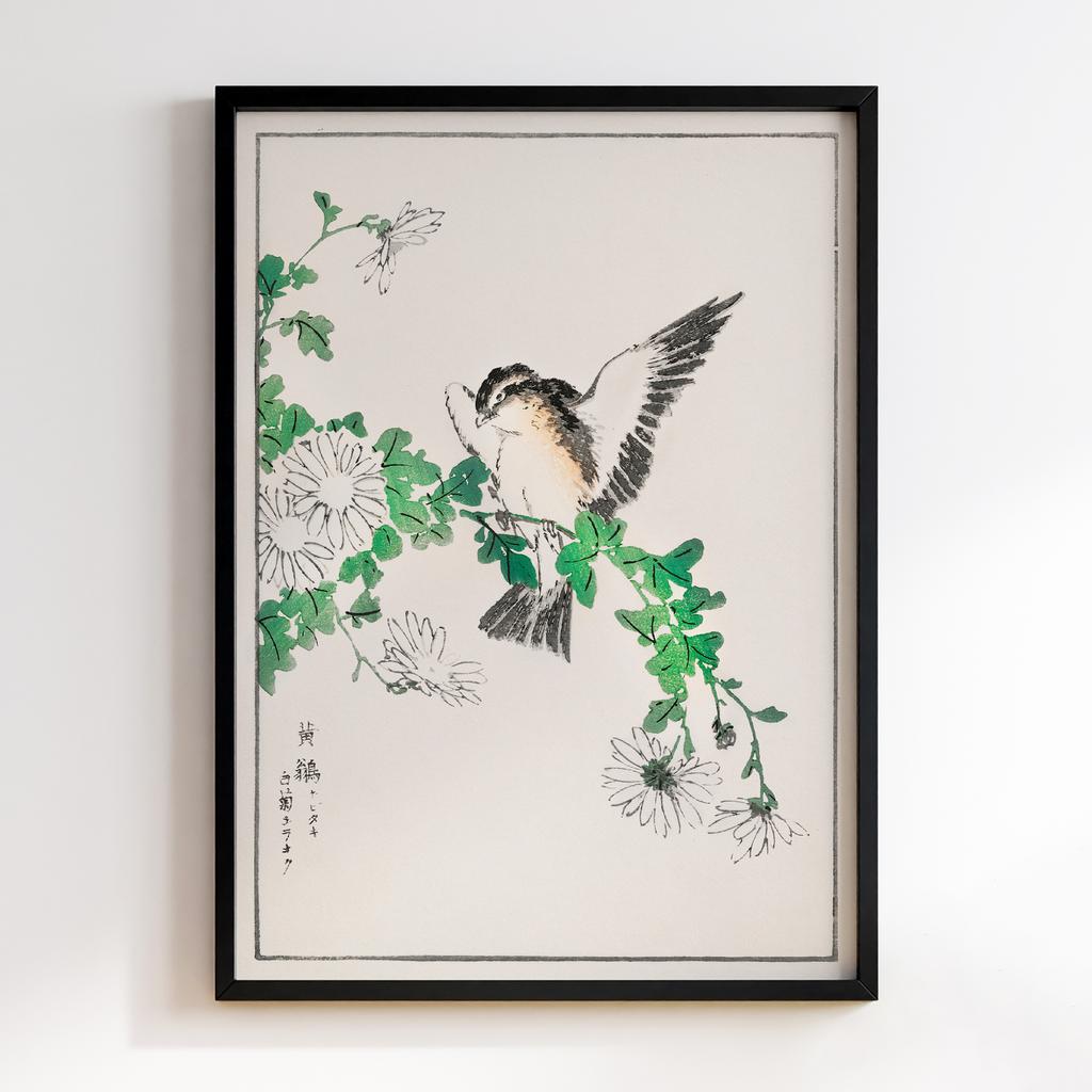 Постер Narcissus Flycatcher and Chrysanthemum illustration by Numata Kashu