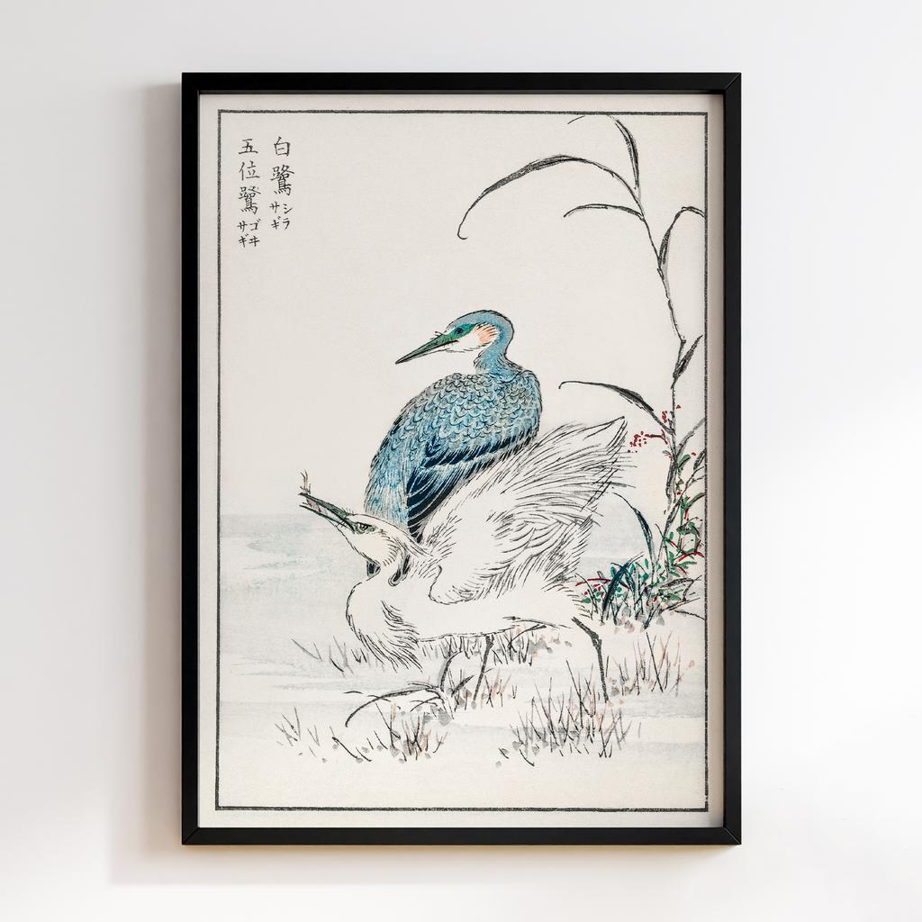 Постер Night Heron and Little Egret illustration by Numata Kashu
