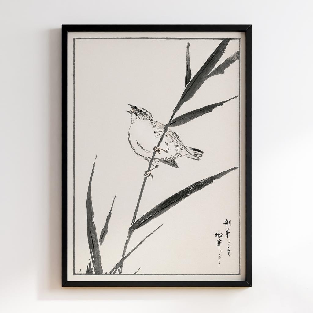 Постер Reed-Bunting and Reed illustration by Numata Kashu