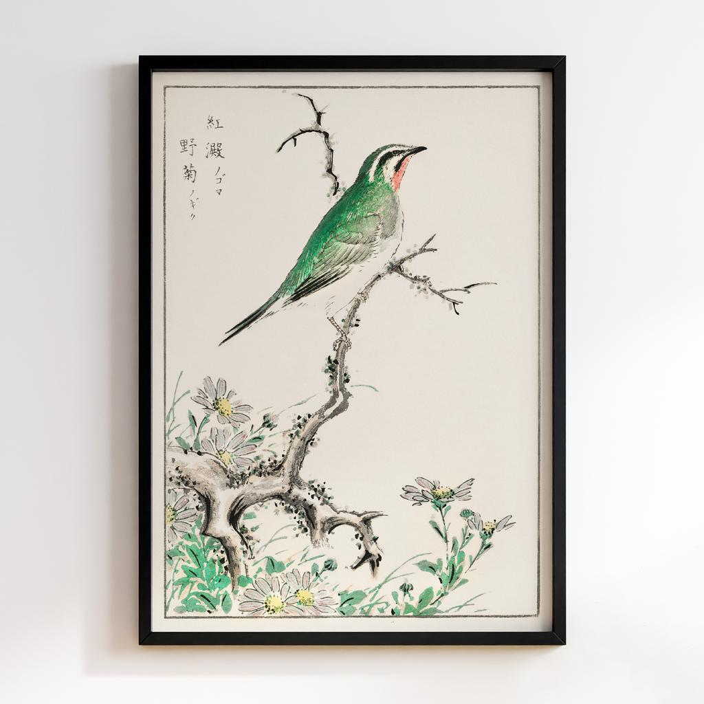 Постер Ruby Throat and Wild Camomile illustration by Numata Kashu