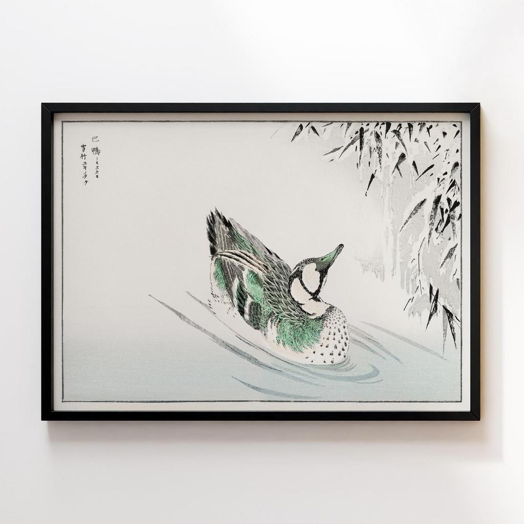 Постер Spectacled Teal and Snow-bent Bamboo illustration by Numata Kashu