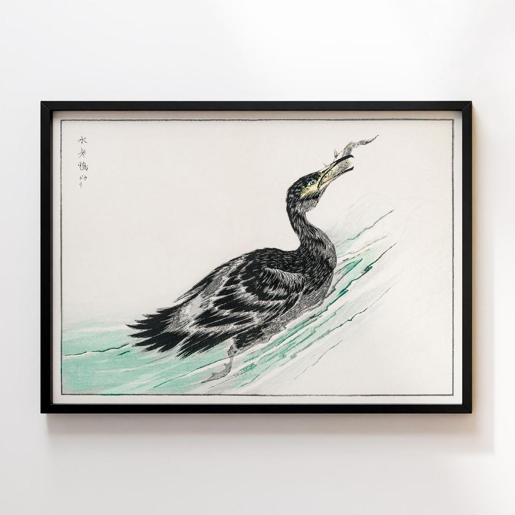 Постер Temminck's Cormorant illustration by Numata Kashu