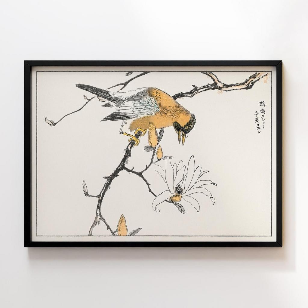 Постер Pictorial Monograph of Birds (1885) by Numata Kashu