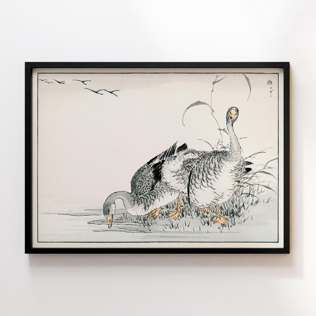 Постер White Fronted Goose illustration by Numata Kashu