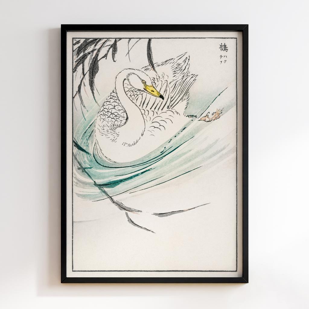 Постер Wooper Swan illustration by Numata Kashu