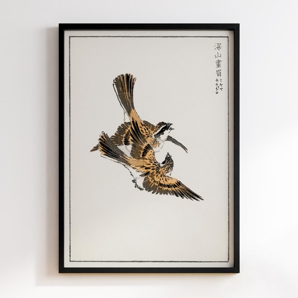 Постер Yellow-throated Bunting illustration by Numata Kashu