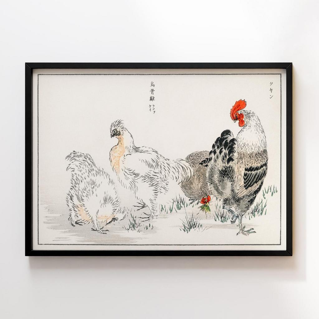 Постер Domestic Fowl illustration by Numata Kashu