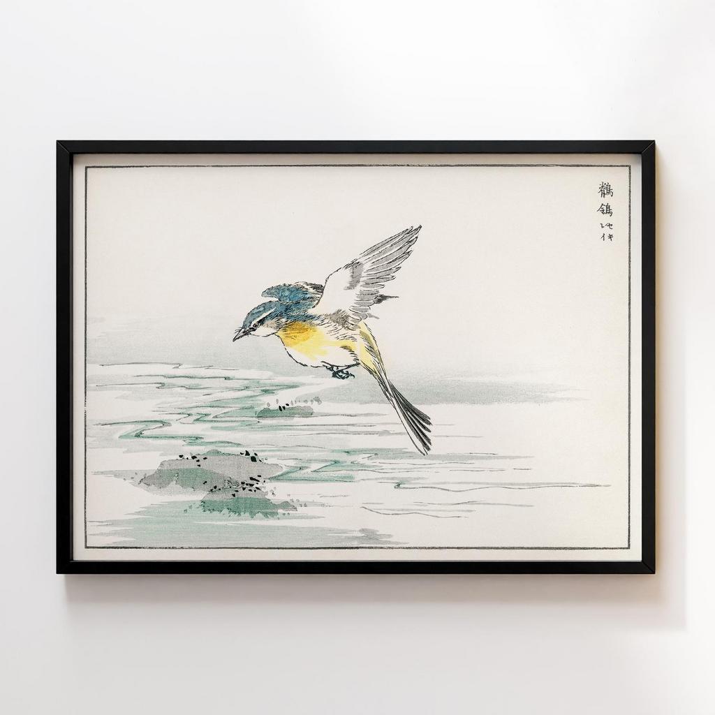 Постер Eastern Grey Wagtail illustration by Numata Kashu