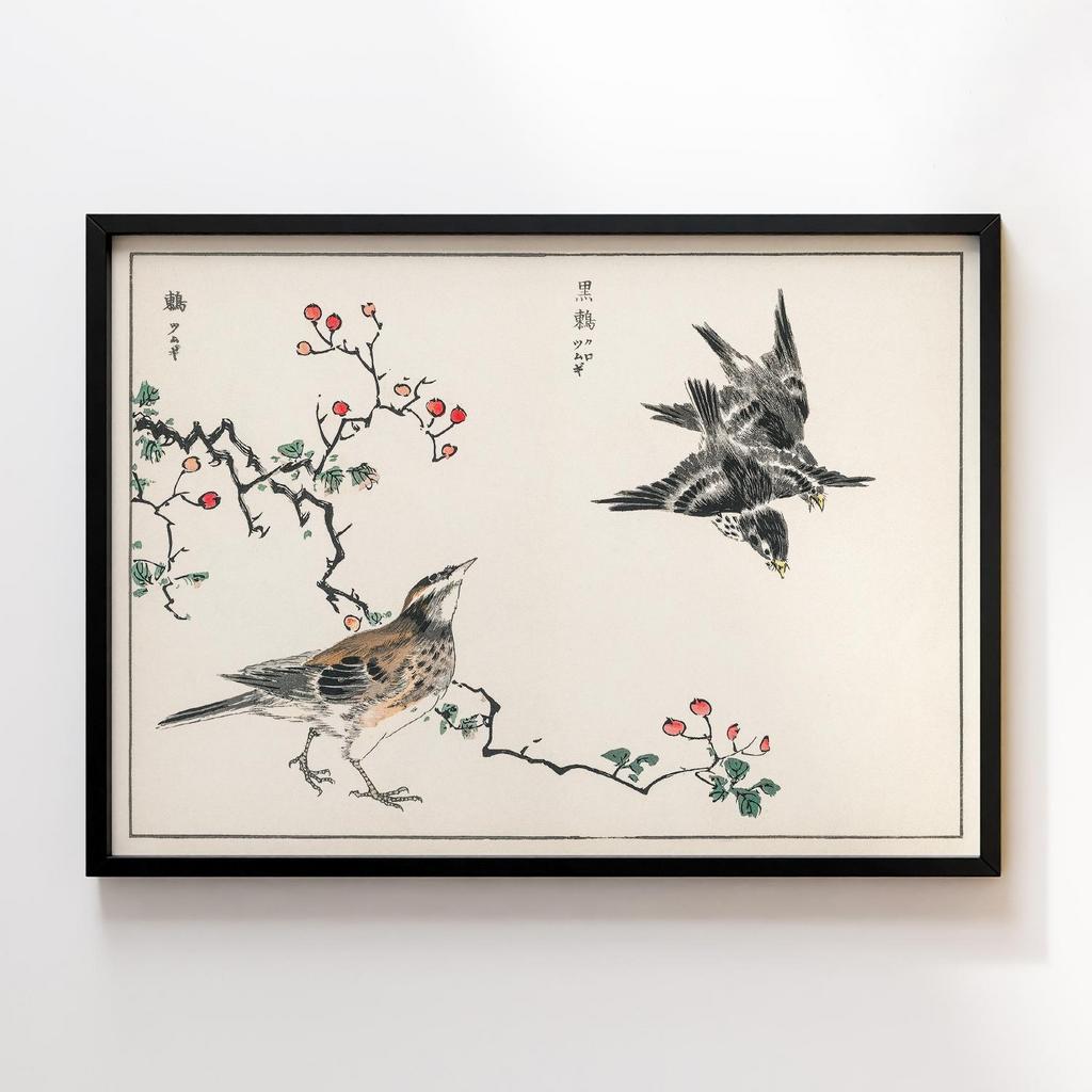 Постер Dosky Thrush and Japanese Grey Thrush illustration by Numata Kashu