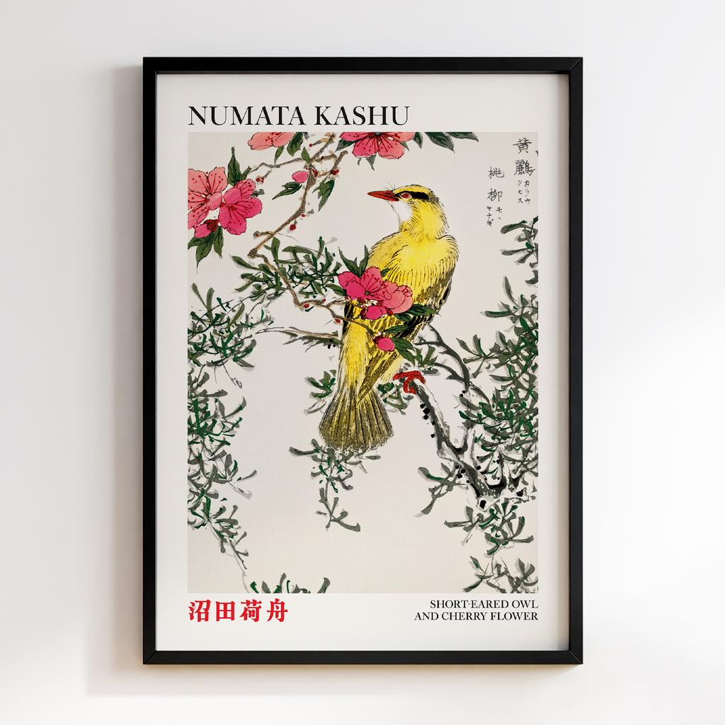 Постер Chinese Bush-warbler and Drooping Peach iIllustration by Numata Kashu