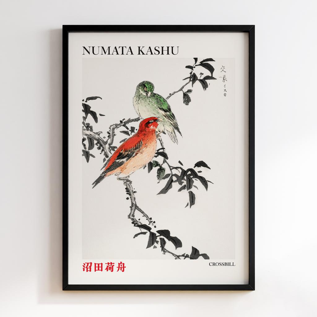 Постер Crossbill illustration by Numata Kashu