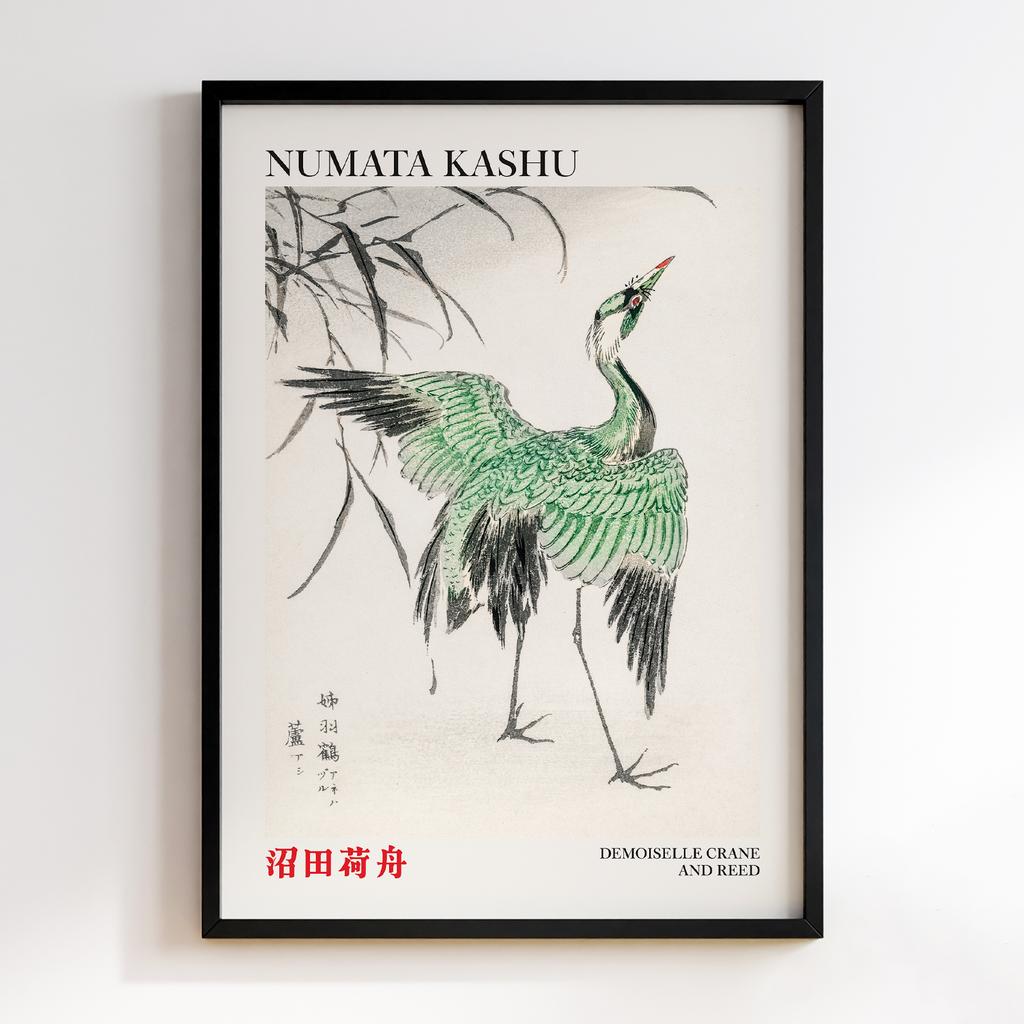 Постер Demoiselle crane and Reed illustration by Numata Kashu
