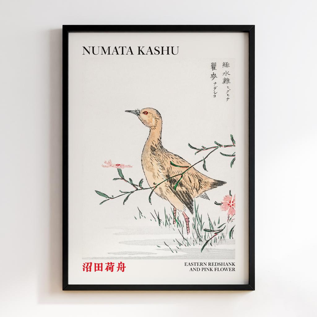Постер Eastern Redshank and Pink Flower illustration by Numata Kashu
