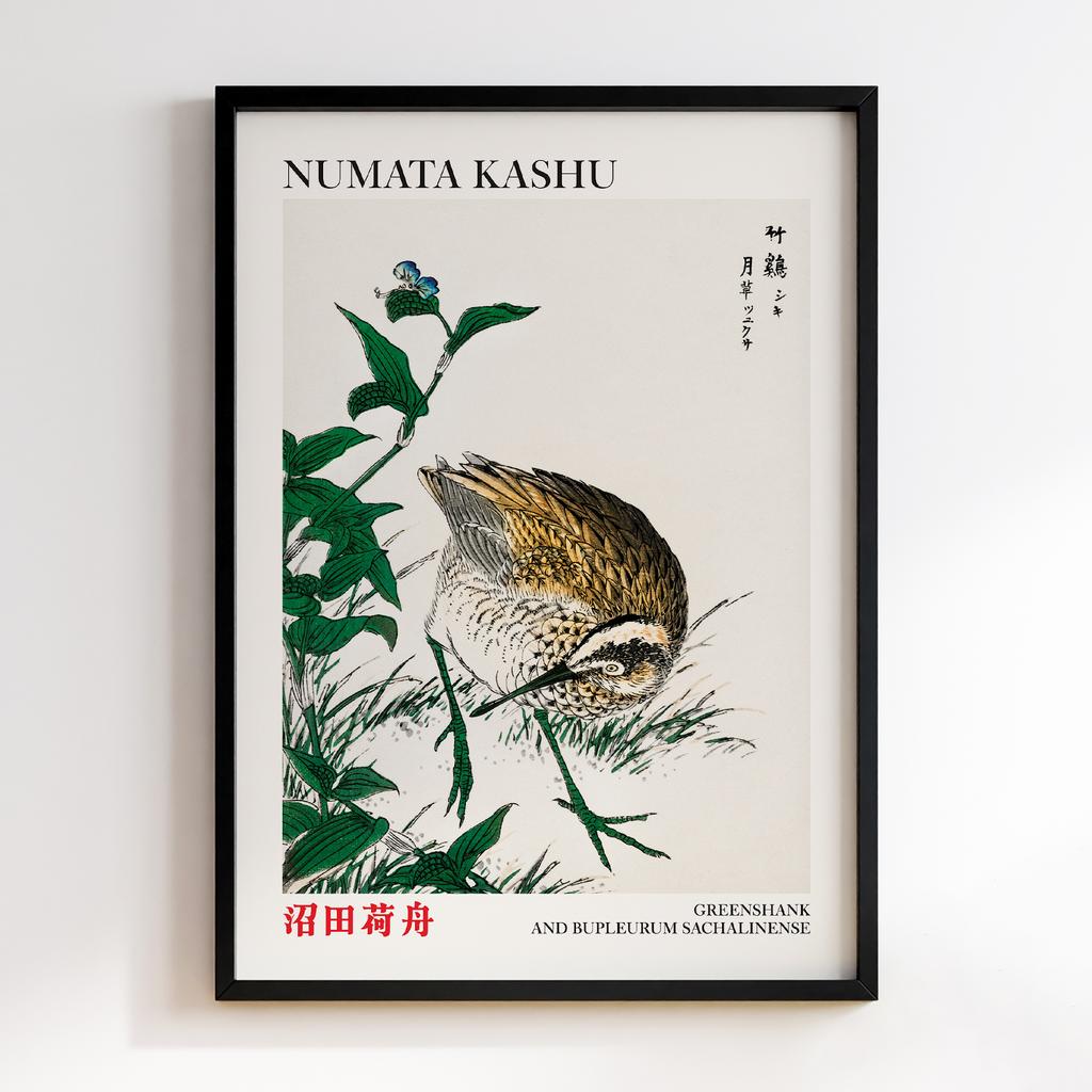 Постер Greenshank and Bupleurum Sachalinense illustration by Numata Kashu