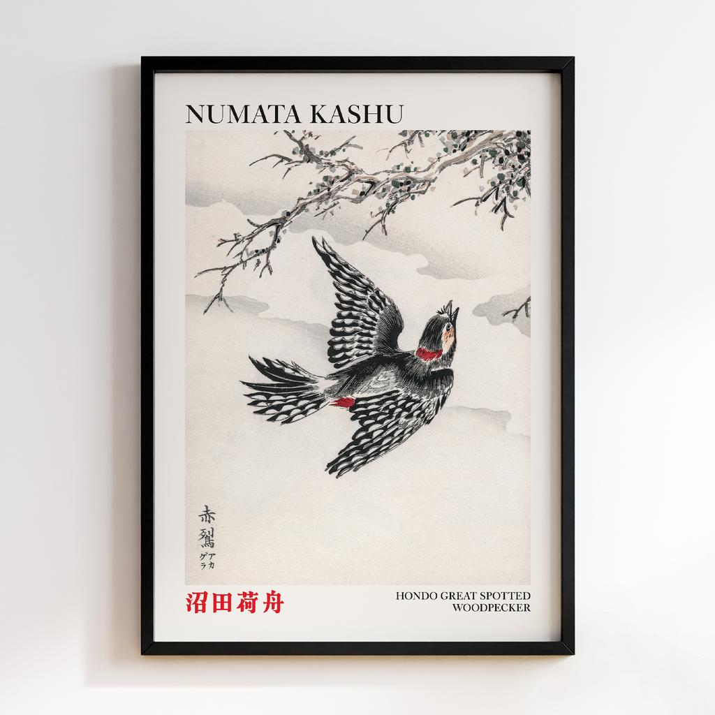 Постер Hondo Great Spotted Woodpecker illustration by Numata Kashu