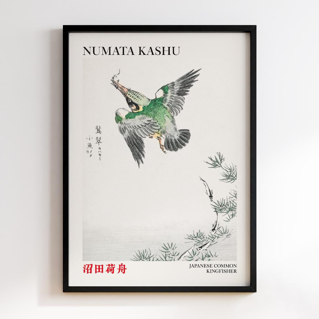 Постер Japanese Common Kingfisher illustration by Numata Kashu