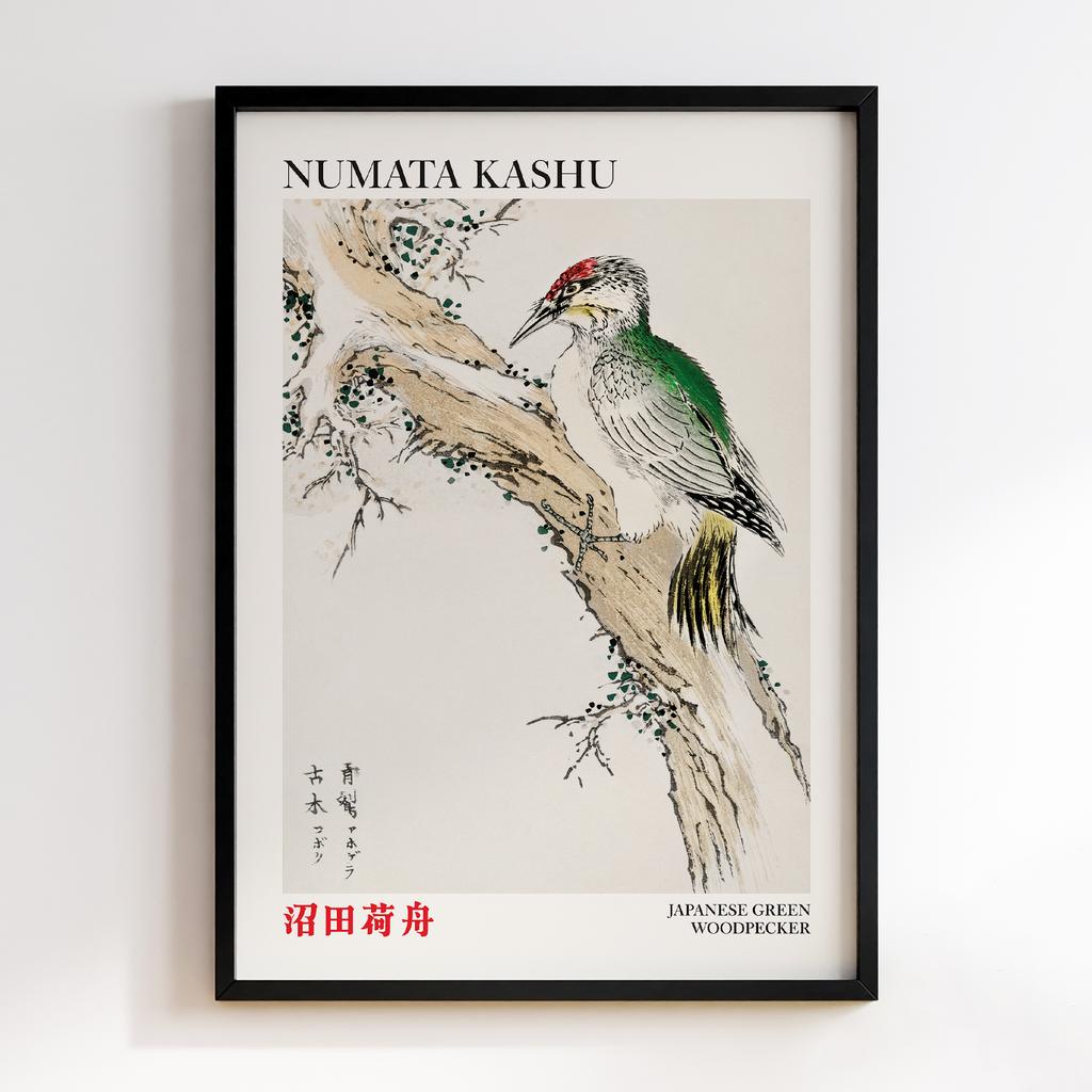Постер Japanese Green Woodpecker illustration by Numata Kashu